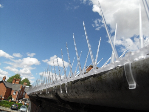 smaller plastic gutter spikes